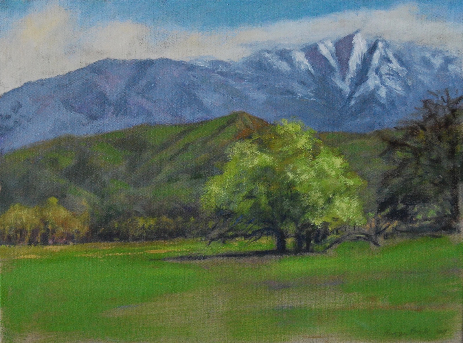 Cottonwood, 1 of 1