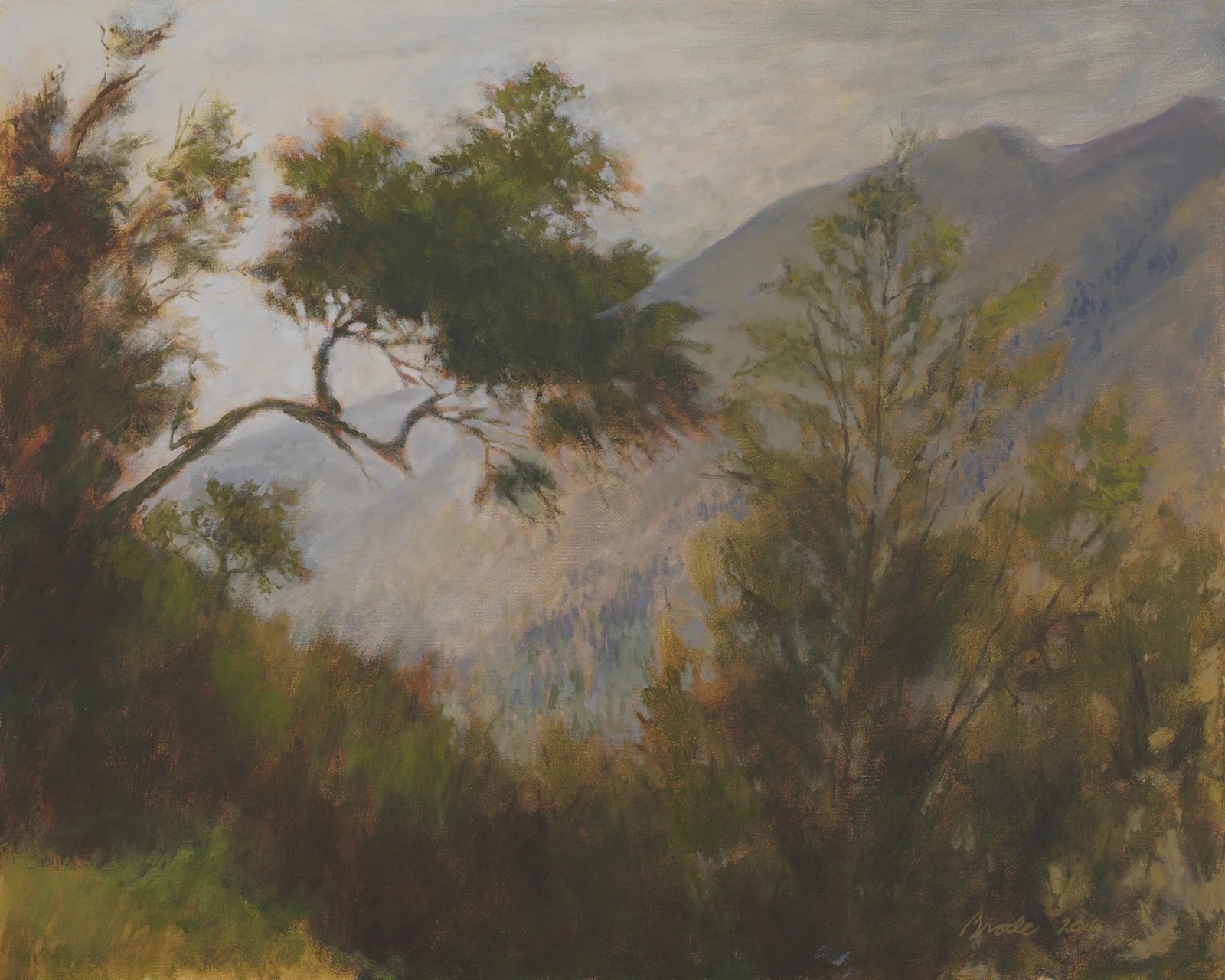 View from Buzzard's Roost (Big Sur), 1 of 1