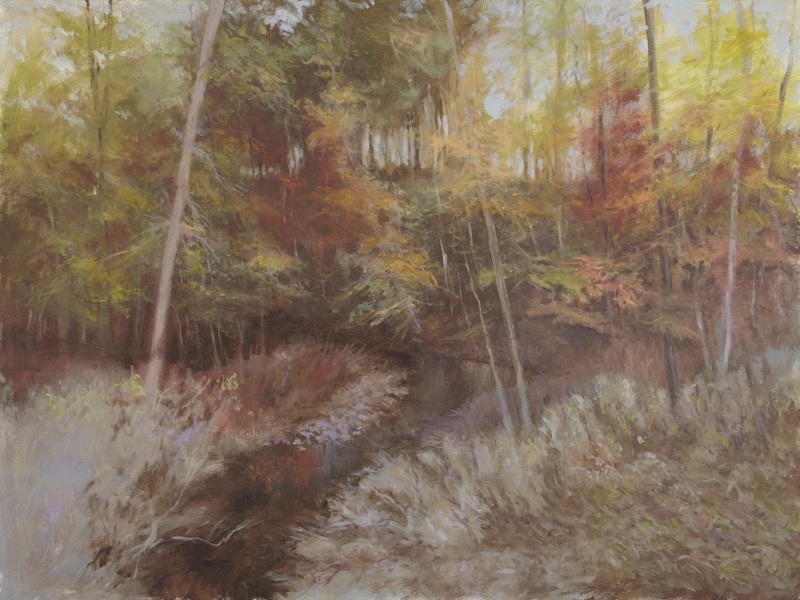 Woods and Water