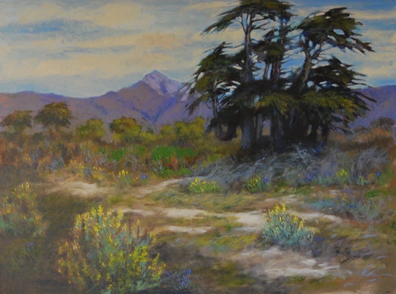 Yellow Lupine