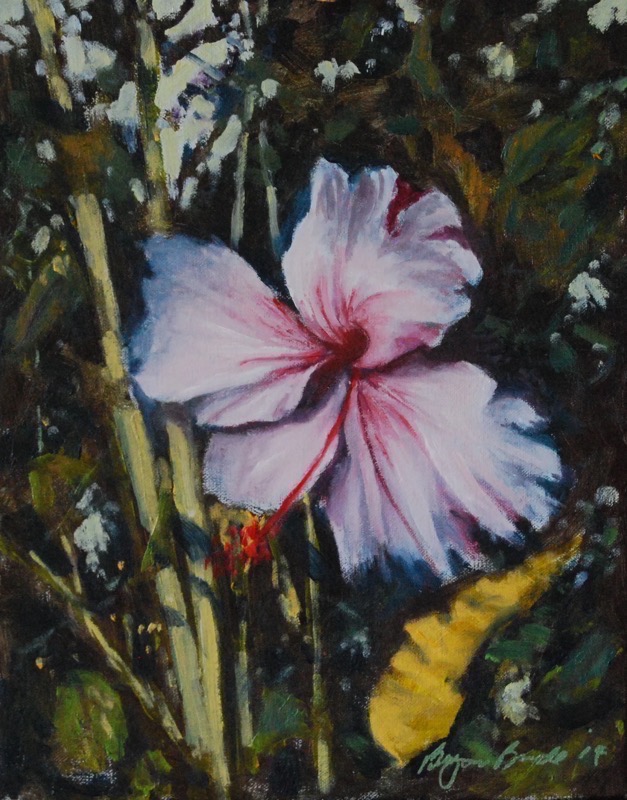 White Hibiscus