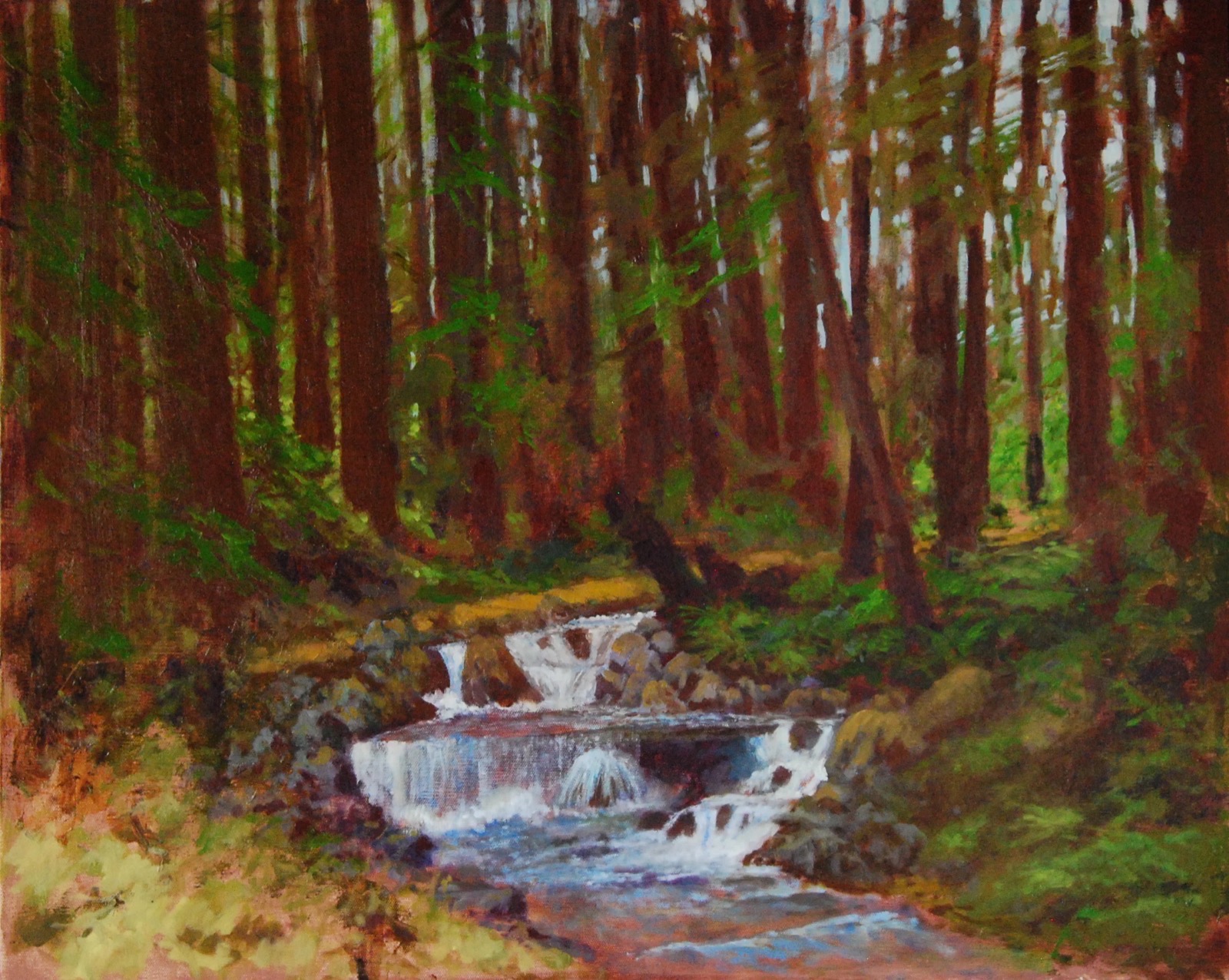 Redwoods, 1 of 1