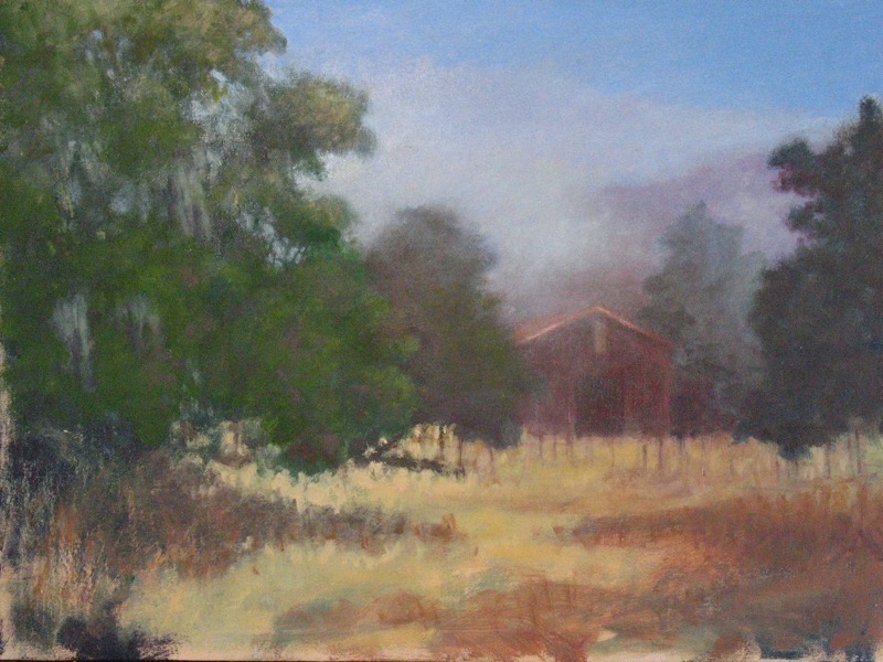 Foggy Morning