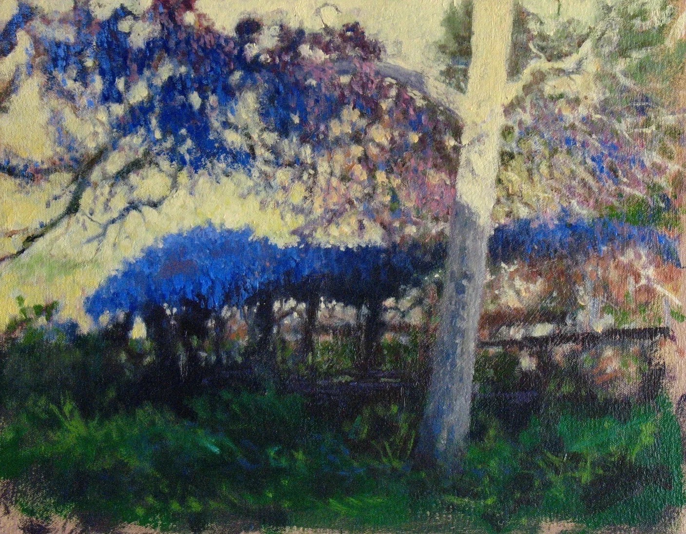 Wisteria, 1 of 1