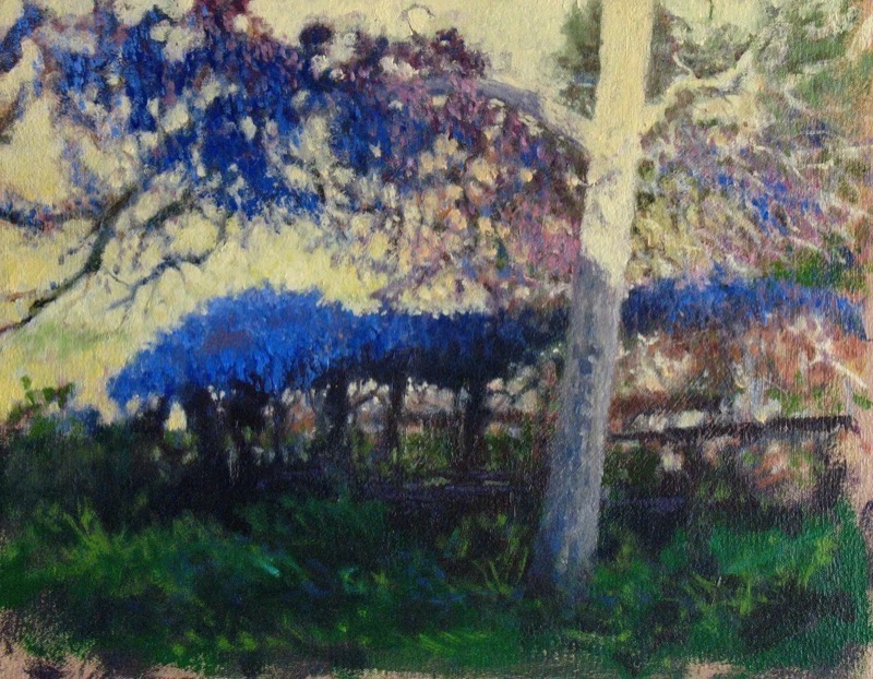 Wisteria